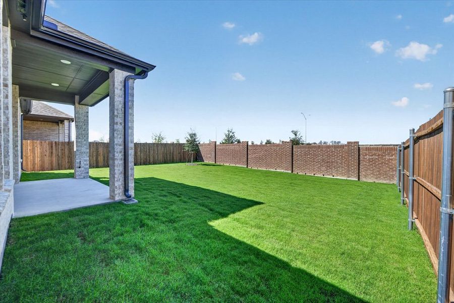Backyard