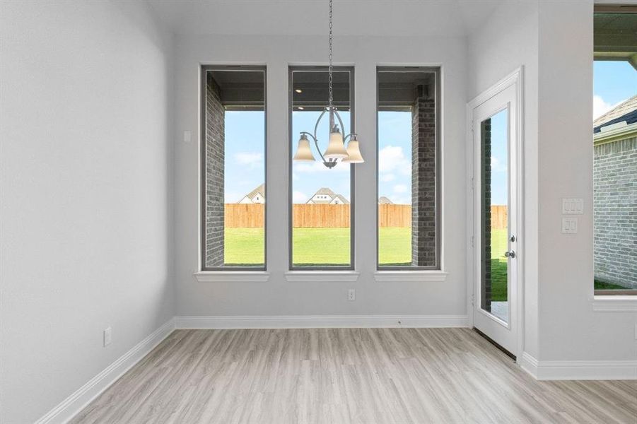 DAL_Myrtle Creek_Natalia_265 Basketflower (12)