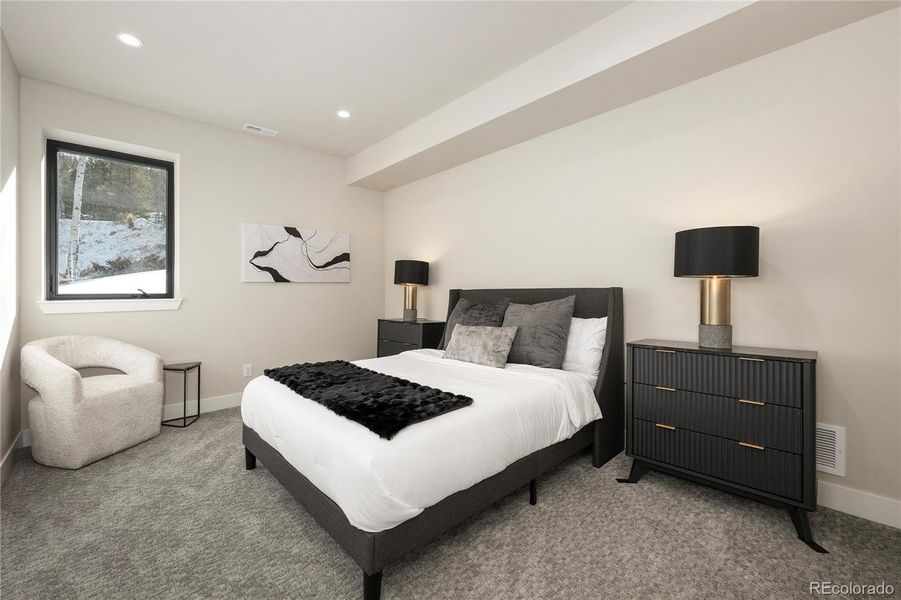 Lower level - bedroom 2