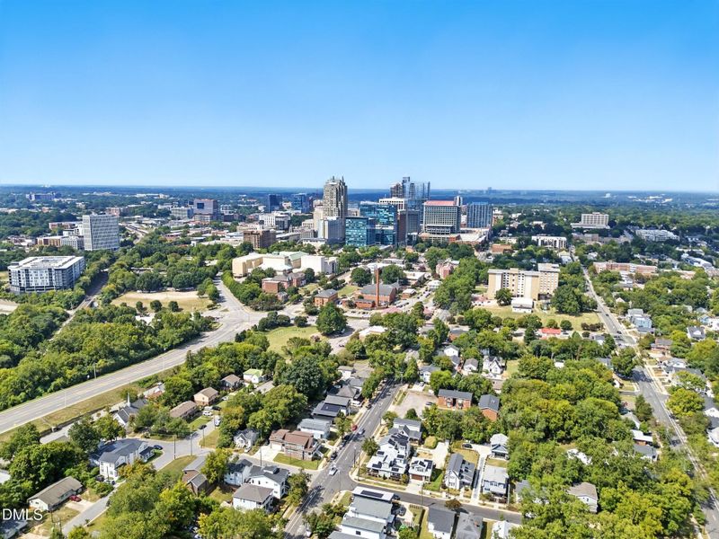 Downtown Raleigh from Community