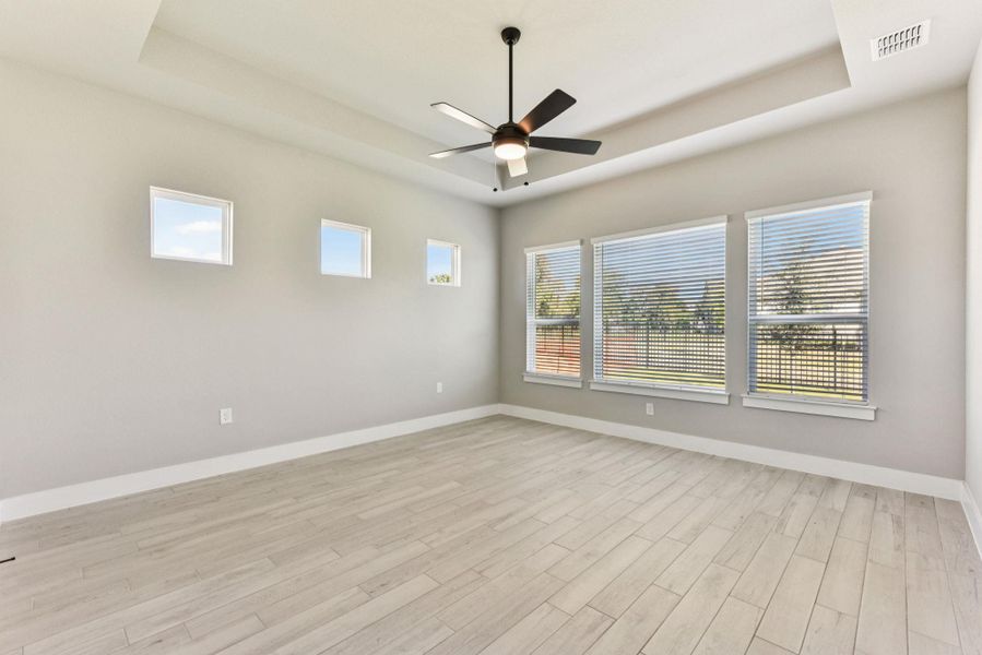Spare room featuring a raised ceiling, healthy amount of natural light, a ceiling fan, and light wood-type flooring