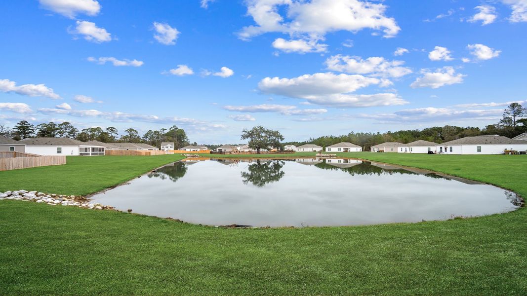 Natural landscape and outdoor views near Longleaf Village in Rincon (Image 20).