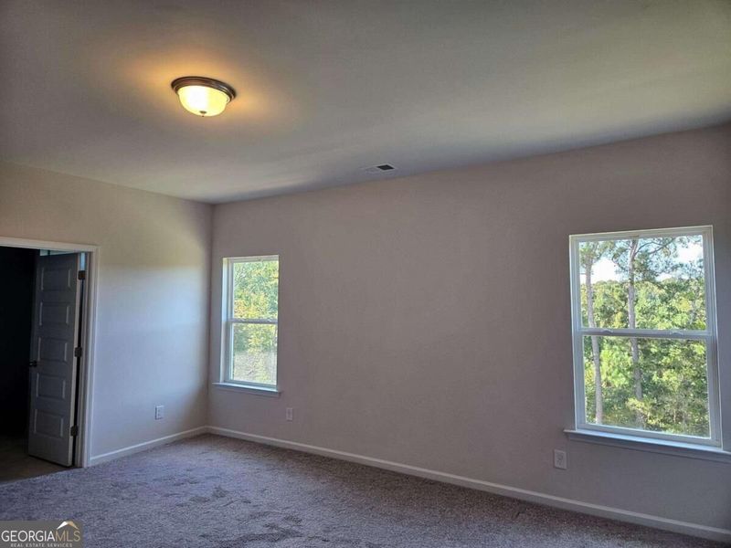 Spacious, unfurnished interior of a new home in Maddox Station, Eatonton (Image 30).