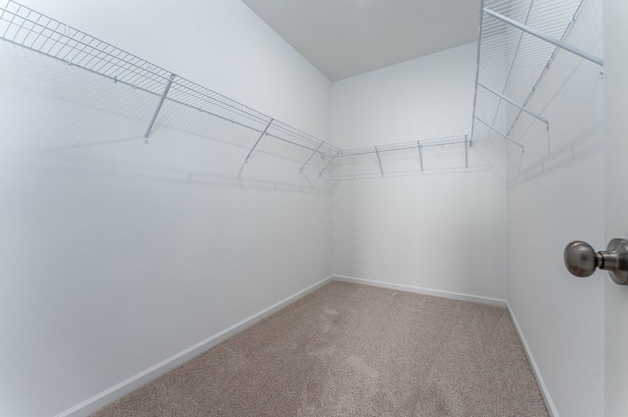 Spacious, unfurnished interior of a new home in Cantigny Park, Clarksville (Image 16).