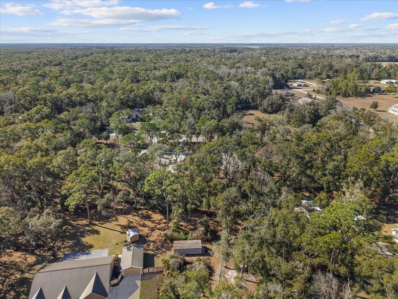 Natural landscape and outdoor views near  in Chiefland (Image 55).