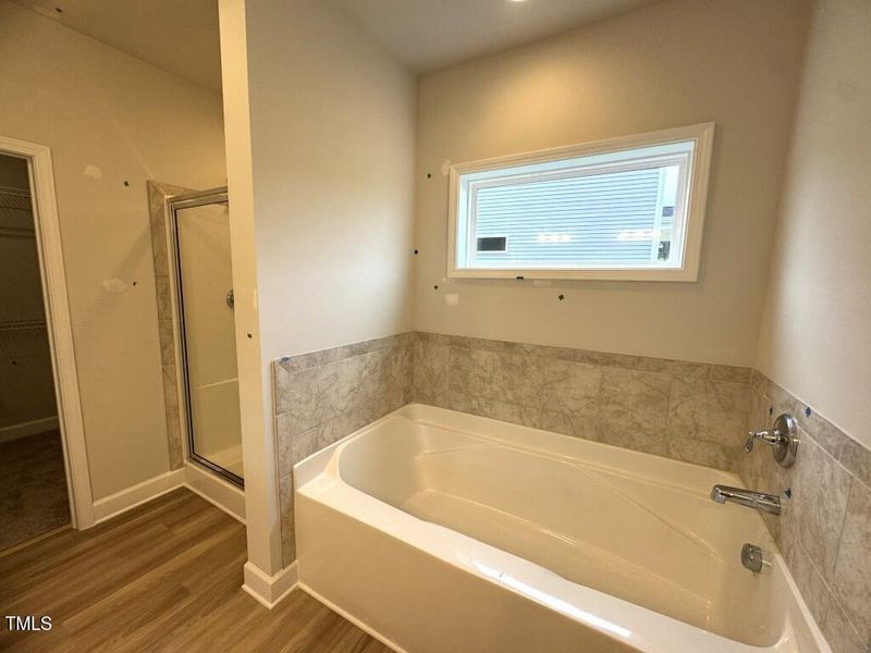 Photo Sep 09 2025, 5 11 48 PM (Medium)