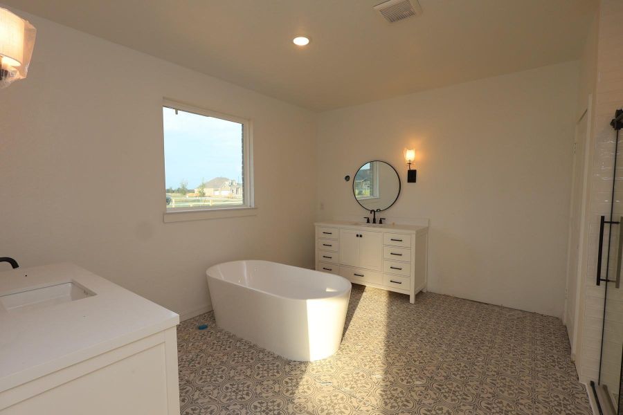 Primary bath - still under construction!
