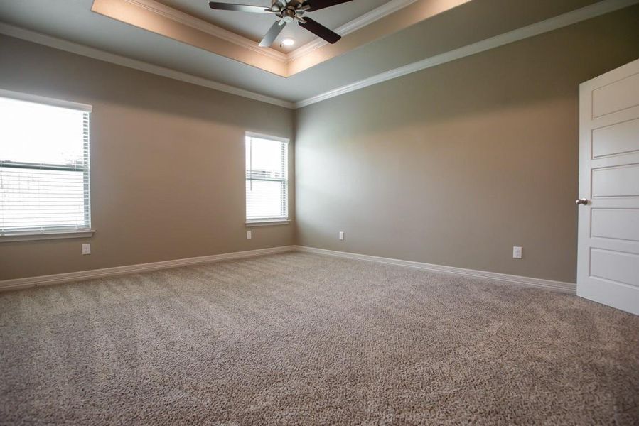 Carpeted empty room with ornamental molding, a ceiling fan, a tray ceiling, and a healthy amount of sunlight