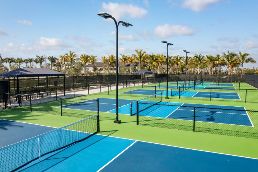 Pickleball Courts