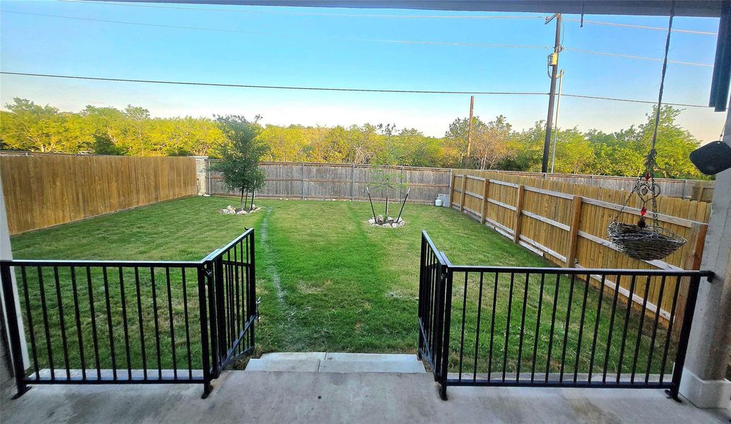 Expansive backyard featuring a manicured lawn, established privacy fencing, and two young trees