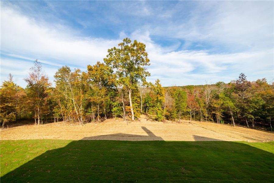 Natural landscape and outdoor views near in Taylorsville (Image 160). Natural landscape and outdoor views near in Taylorsville (Image 160).