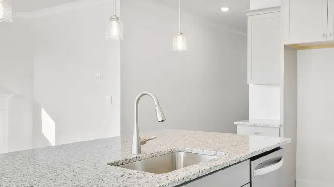Representative interior finishes for a home built from the Bristol by D.R. Horton in Spring Ridge Reserve, Anderson (Image 13).