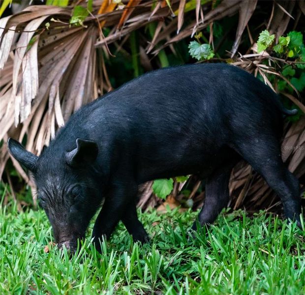Image 63 of a home in . Image 63 of a home in .
