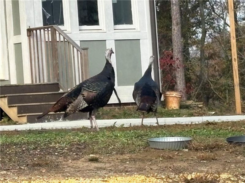 Exterior details and patio area of a home in , Powder Springs (Image 1). Exterior details and patio area of a home in , Powder Springs (Image 1).
