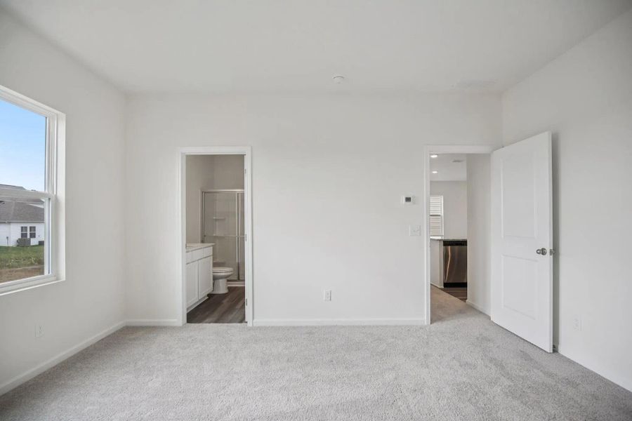 representative photo