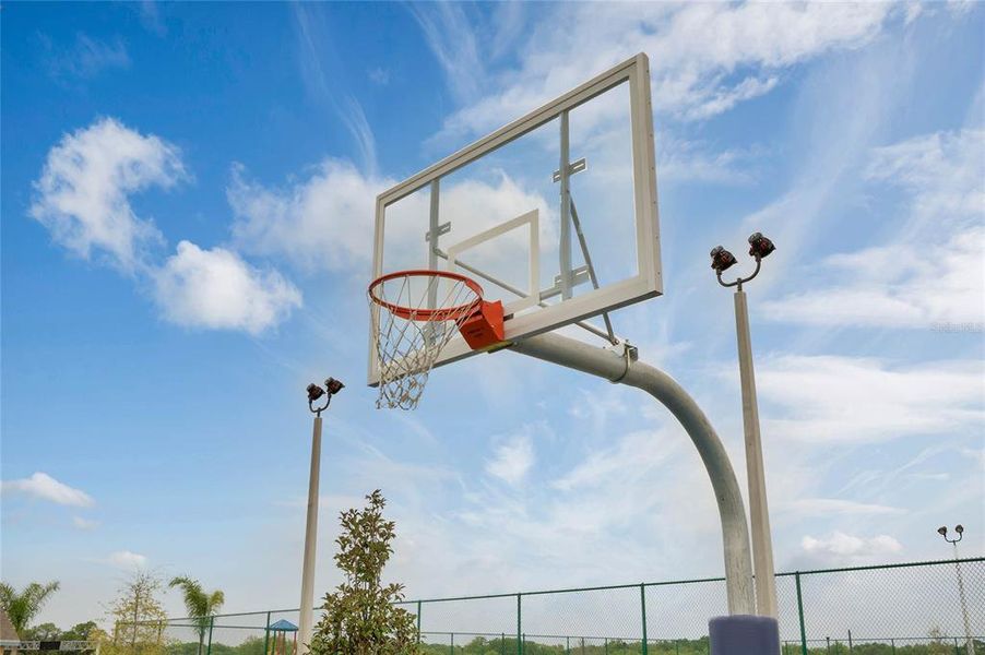 Community amenities in Avian Pointe Townhomes, Apopka (Image 33).