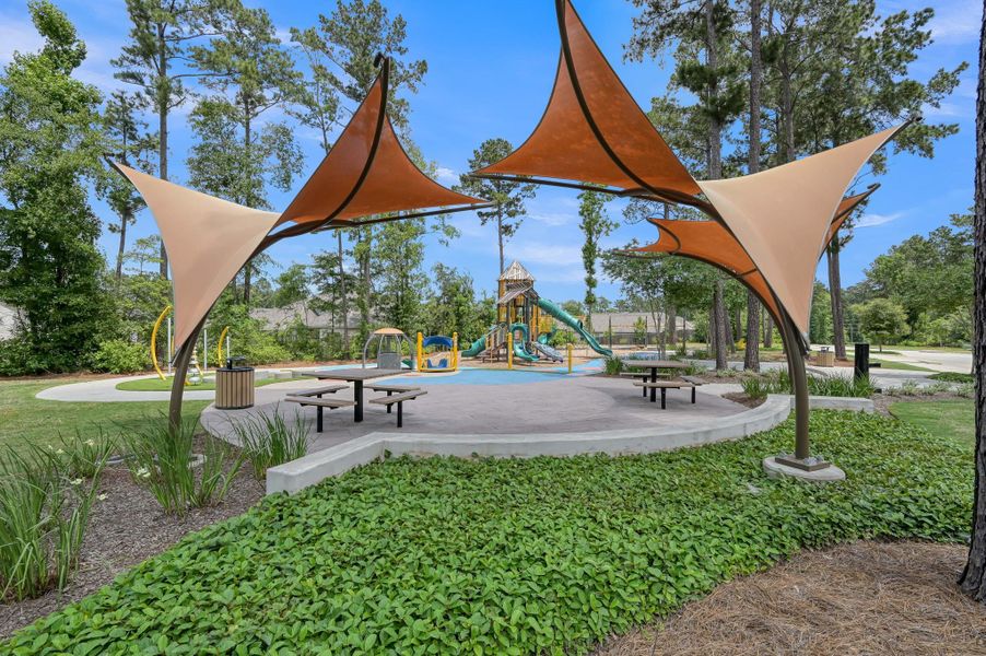 Community amenities in The Woodlands Hills, Willis (Image 26).