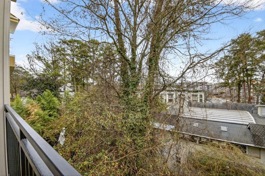 Natural landscape and outdoor views near  in Atlanta (Image 40).