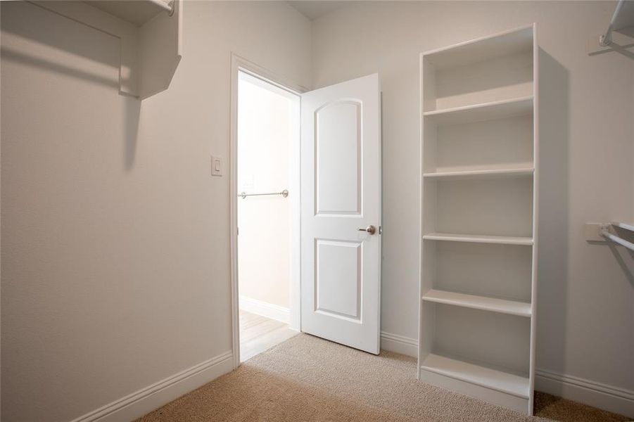 Spacious closet featuring light colored carpet