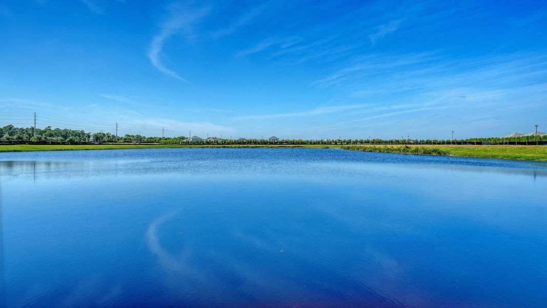 Outdoor and nature views near homes built from the Parker by Neal Communities in SkySail, Naples (Image 43).