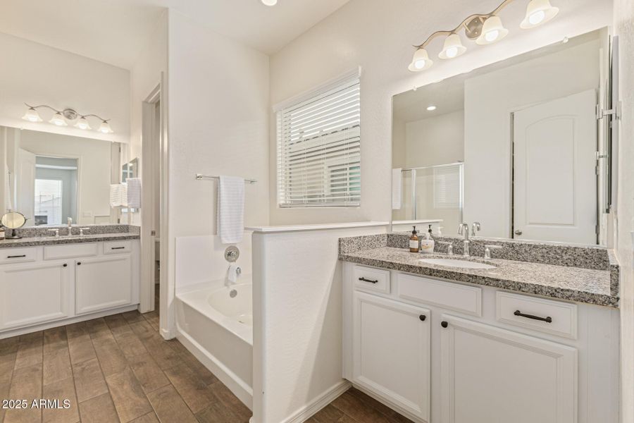 19-San Tan 19-San Tan