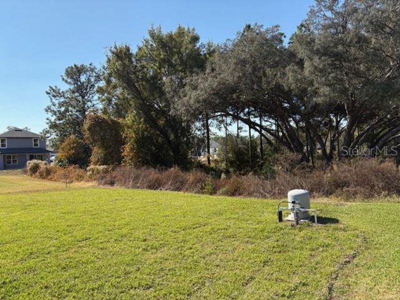 Natural landscape and outdoor views near Juliette Falls in Dunnellon (Image 13).