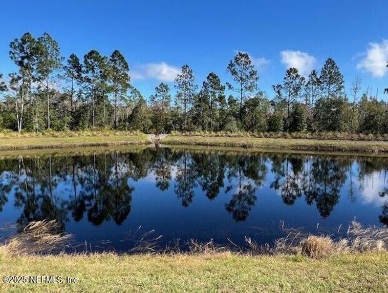 Natural landscape and outdoor views near Sawmill Branch in Palm Coast (Image 51).