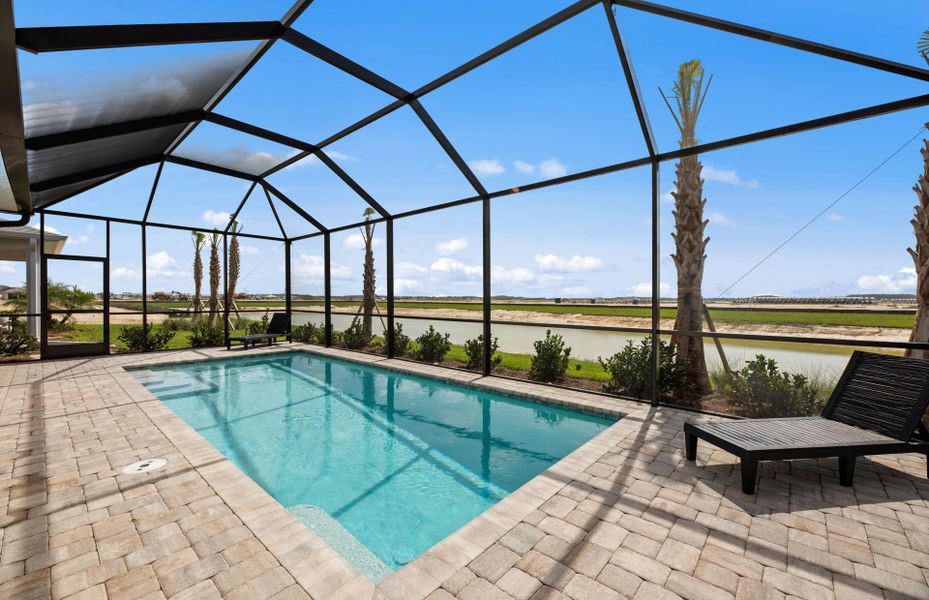 Screened-in pool Screened-in pool