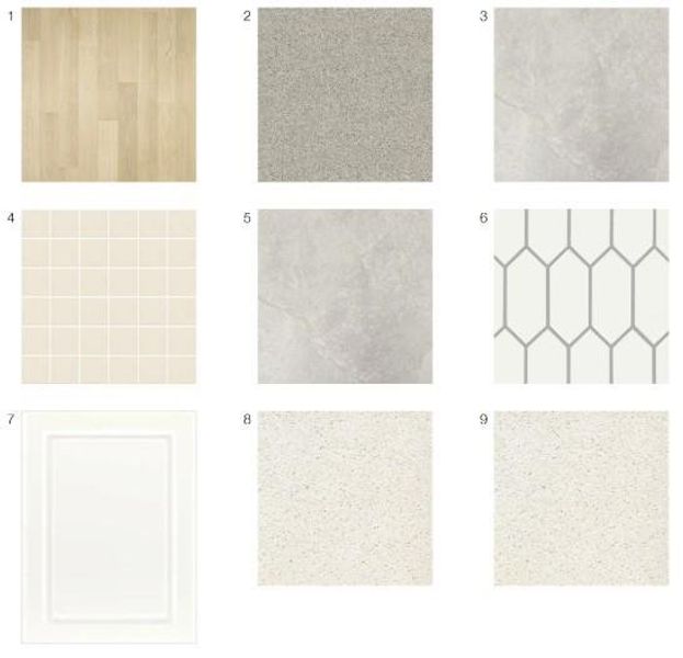 1702 Hubert Graham Way - Design Selections - This home is currently under construction - selections are subject to change