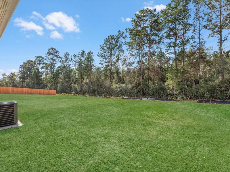 Exterior details and patio area of a home in William Trails, Willis (Image 3).
