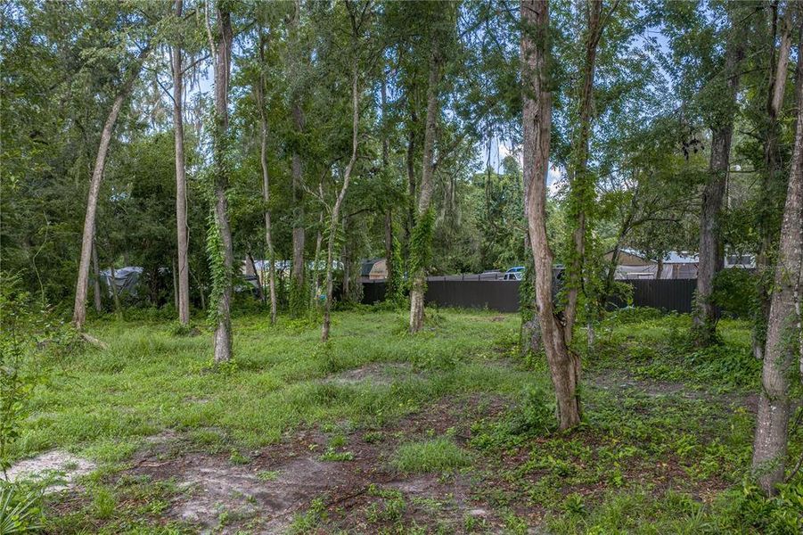 Natural landscape and outdoor views near  in Webster (Image 50).