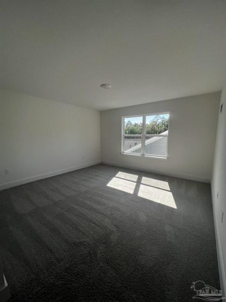 Spacious, unfurnished interior of a new home in Blossom Grove, Milton (Image 13).