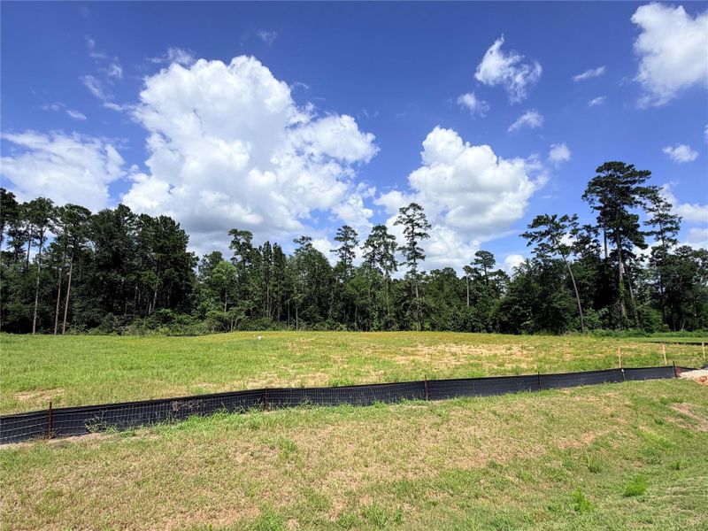 Natural landscape and outdoor views near Butlers Bend Estates in Pinehurst (Image 19).