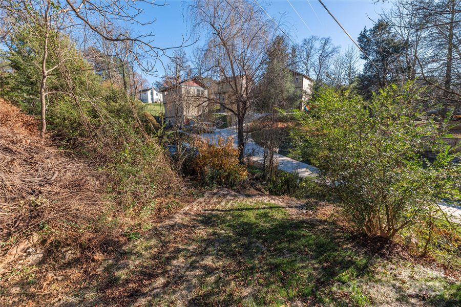 Natural landscape and outdoor views near  in Asheville (Image 18).
