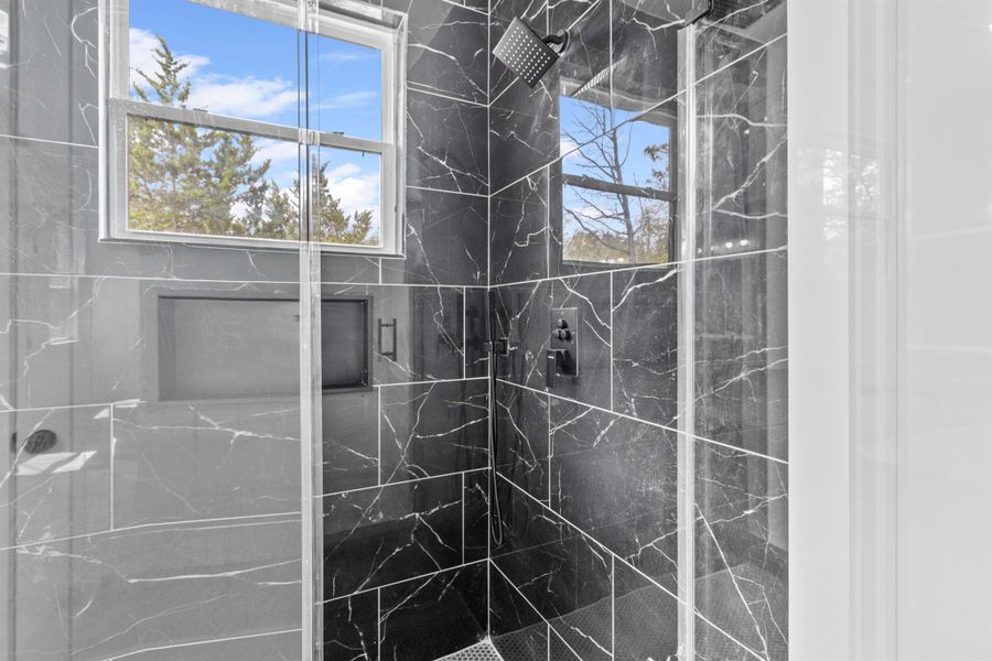 Primary bath walk-in shower with light up niche