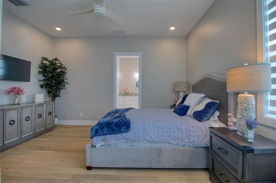 Furnished interior view inside a new home in , Dunedin (Image 4).