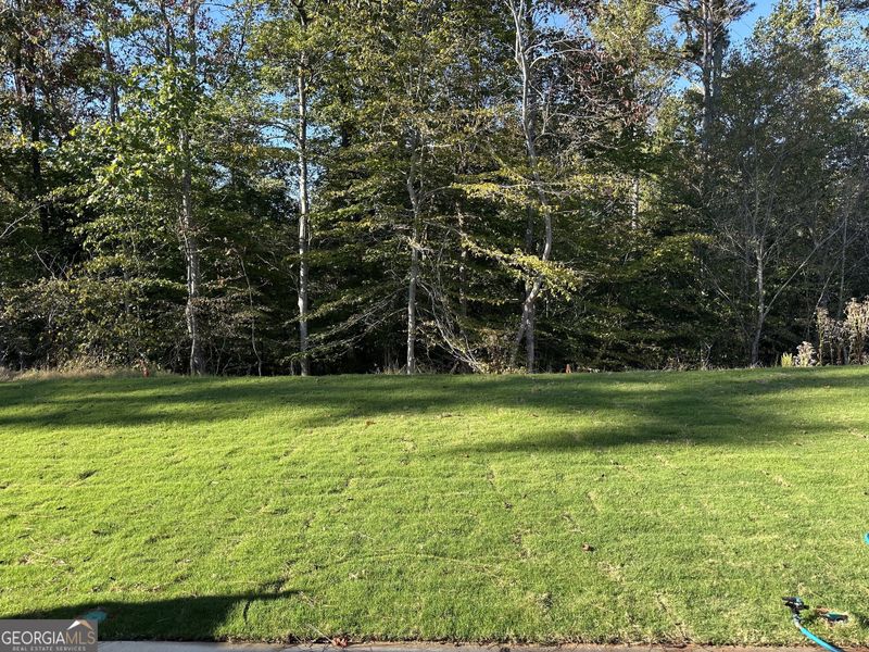 Natural landscape and outdoor views near Millstone at Mundy Mill in Gainesville (Image 39). Natural landscape and outdoor views near Millstone at Mundy Mill in Gainesville (Image 39).