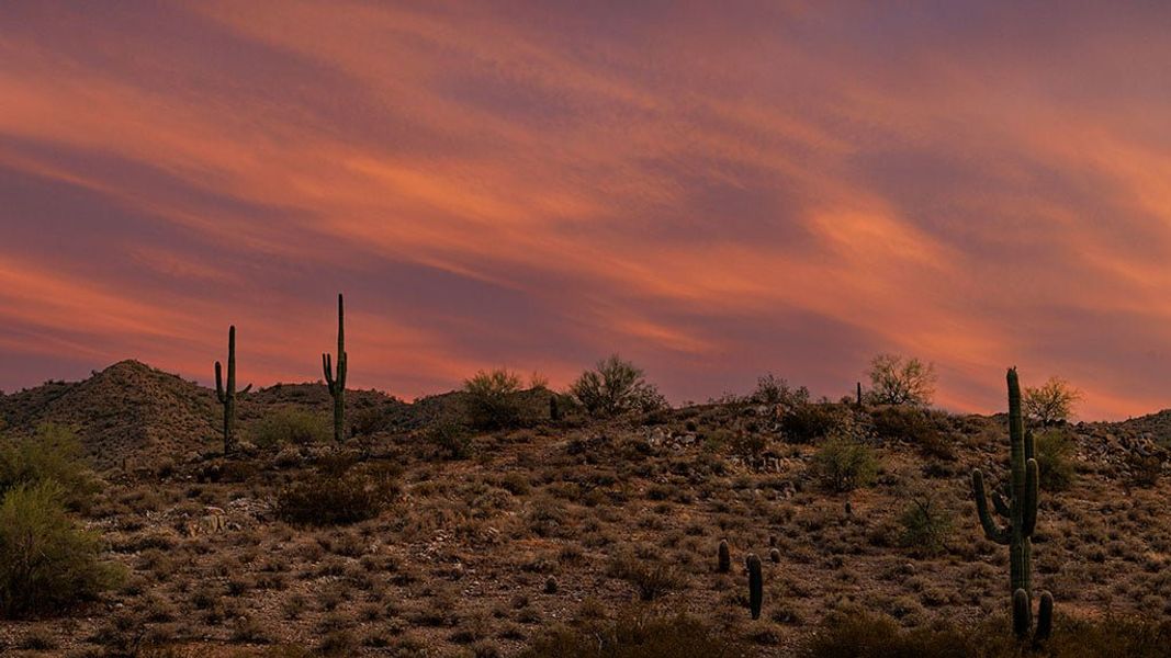 Natural landscape and outdoor views near Ladera Trails in Queen Creek (Image 24).