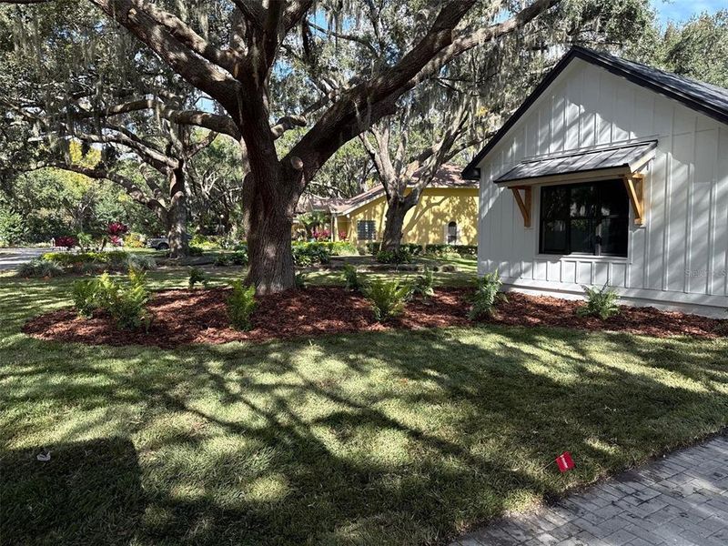 Natural landscape and outdoor views near  in Odessa (Image 10).