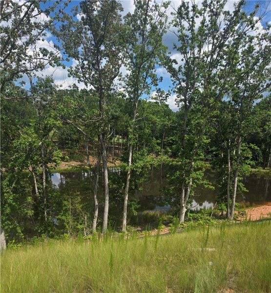 View from back yard of the large pond View from back yard of the large pond