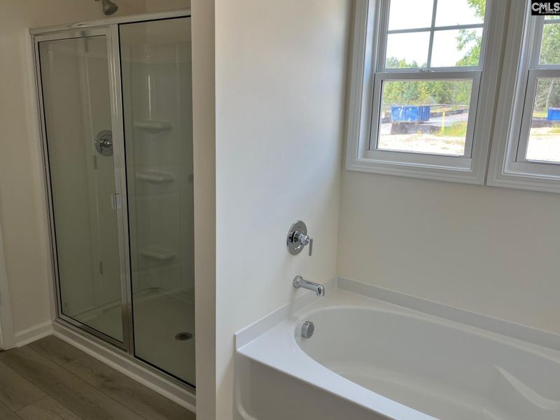 Image 34 of a home in Blythewood Farms.