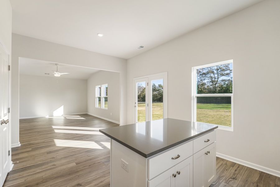 Spacious, unfurnished interior of a new home in Burke Estates, Chesnee (Image 19).