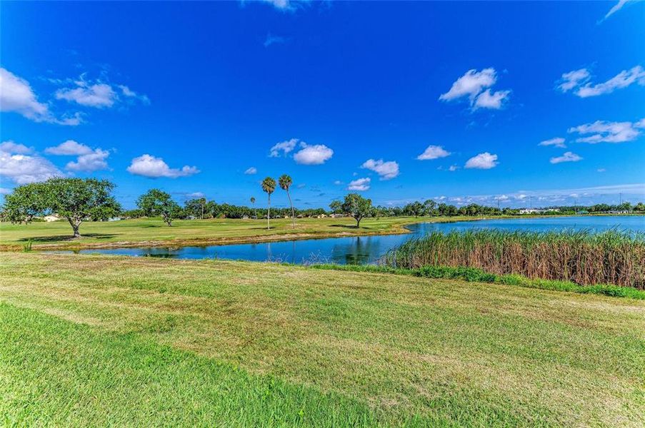 Natural landscape and outdoor views near in Palmetto (Image 59). Natural landscape and outdoor views near in Palmetto (Image 59).