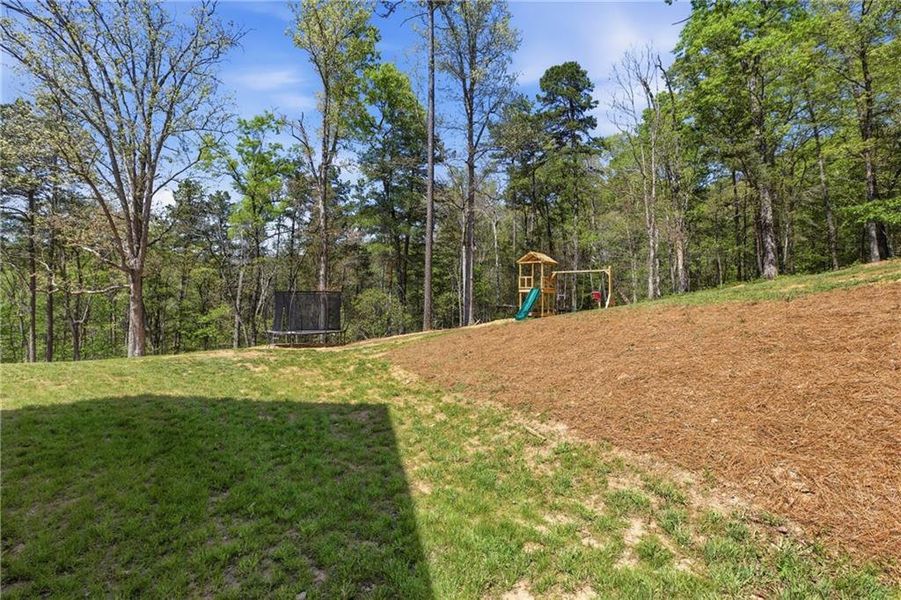 Natural landscape and outdoor views near  in Demorest (Image 50).