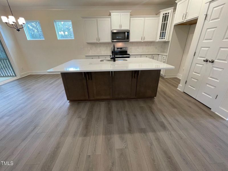 Designer Kitchen white Cabinets