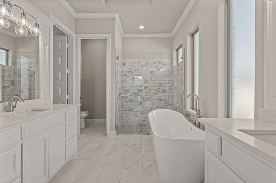 Full bathroom featuring ornamental molding, vanity, independent shower and bath, and plenty of natural light