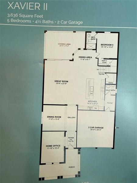 2D floor plan layout of this home in , Winter Garden, FL (Image 35).