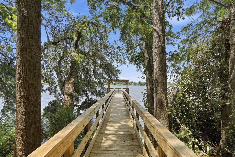 Natural landscape and outdoor views near  in Hanahan (Image 43).