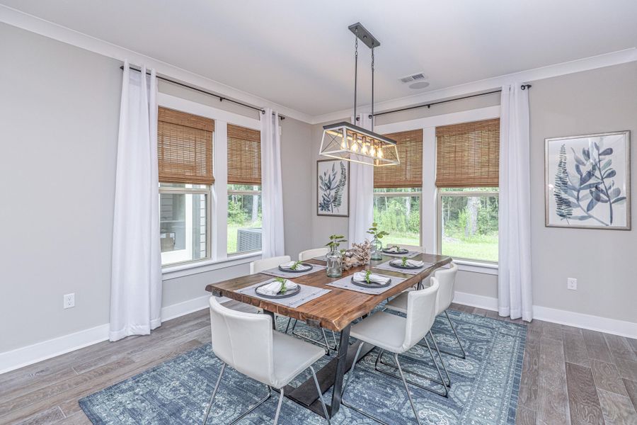 Furnished interior view inside a new home in Timothy Lakes, Ridgeville (Image 11).