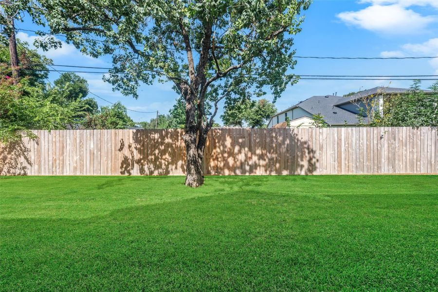 Exterior details and patio area of a home in , Houston (Image 23). Exterior details and patio area of a home in , Houston (Image 23).